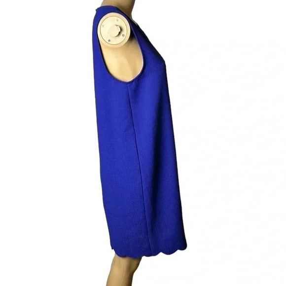 EVERLY ,Maura Dress,Anthropologie,sleeveless blue scalloped hem dress ,NWT - Picture 4 of 12